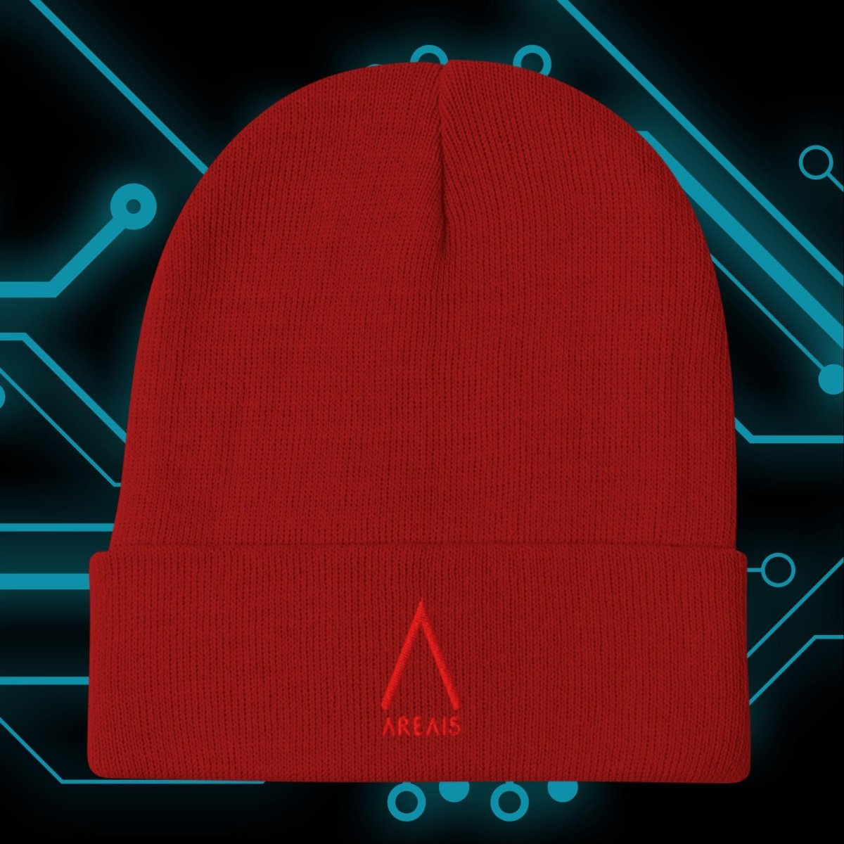 Portal Embroidered Beanie - AREA15